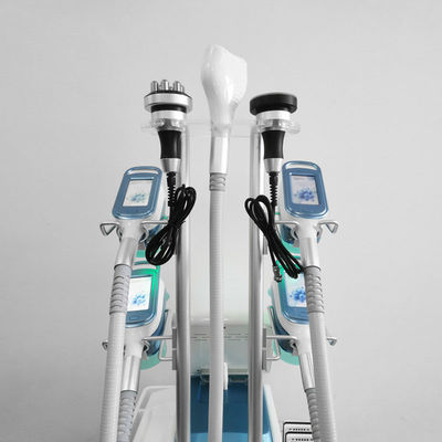 Grosse machine commerciale de Cryolipolysis de retrait avec 5 poignées commerciales