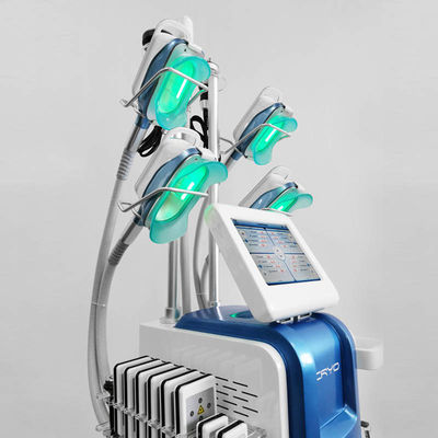 800W 650nm Cryo amincissant la réduction de poids de machine pour le salon de beauté