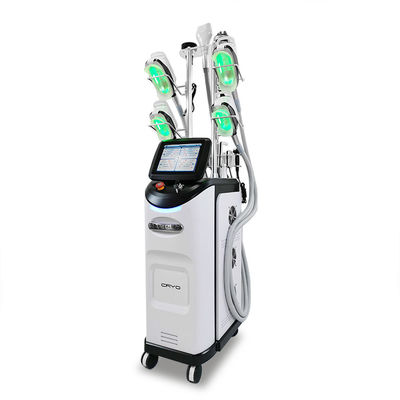 8 poignées congélation de machine de Cryolipolysis de 360 degrés grosse